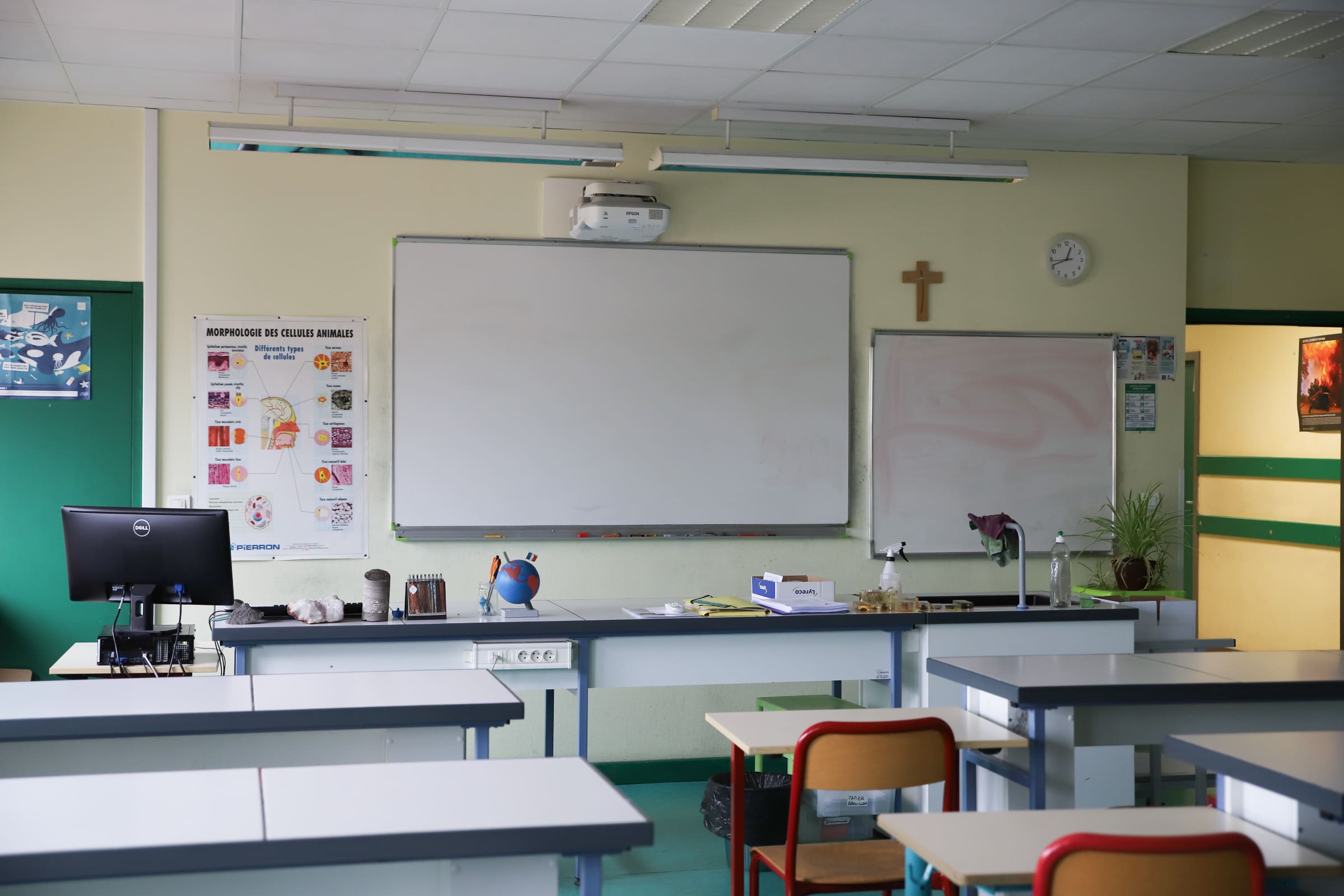 college formation